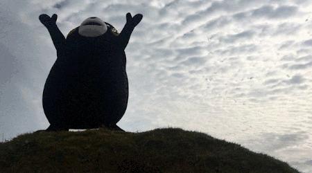 摩洛哥古法制皮视频,摩洛哥皮革制作全过程