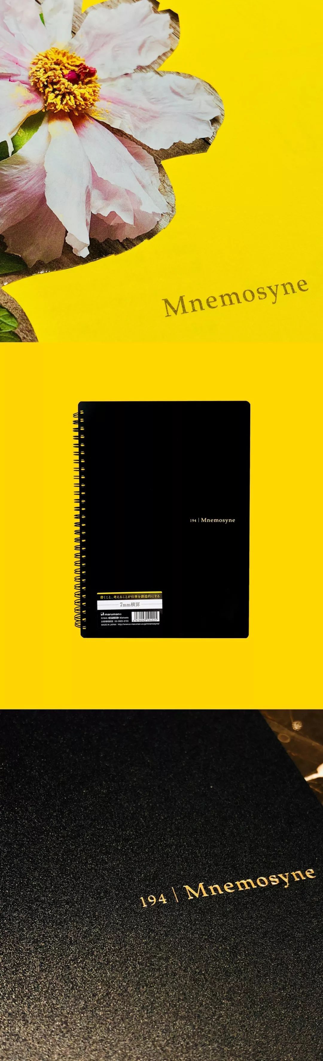 娴风洍鎯呮瓕 (閫冪娴风洍鎯呮瓕)