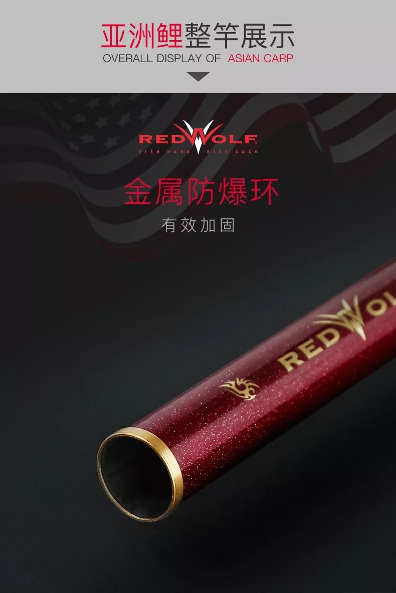 钓获超大鲤鱼,红狼亚洲鲤鱼竿钓重测评