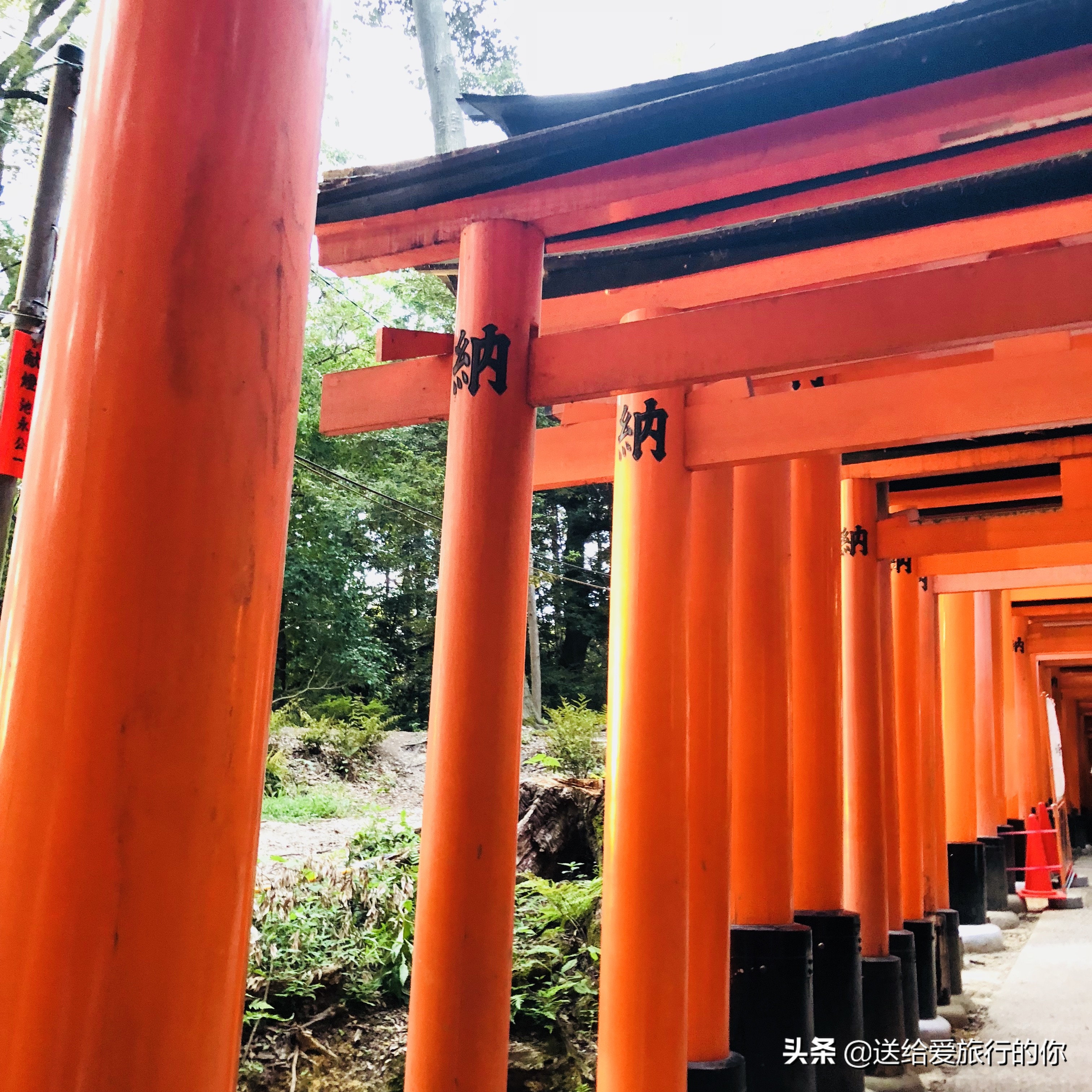 在日本的中心观日本（附详细行程）