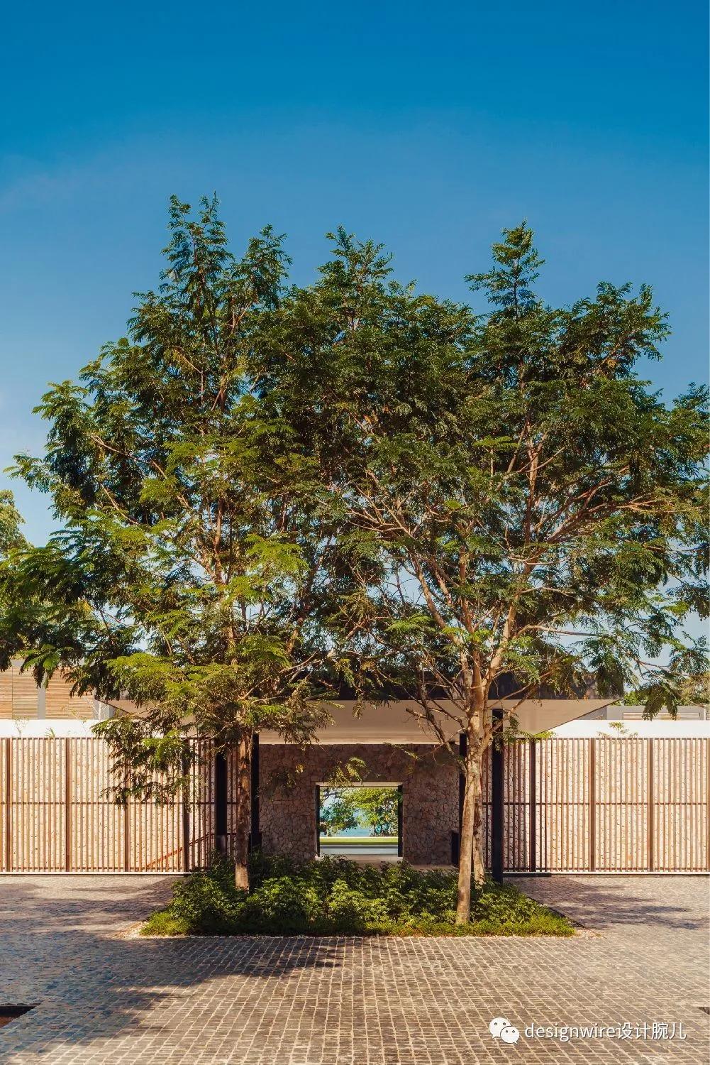 全球只有三家的酒店迪拜,oneandonly酒店