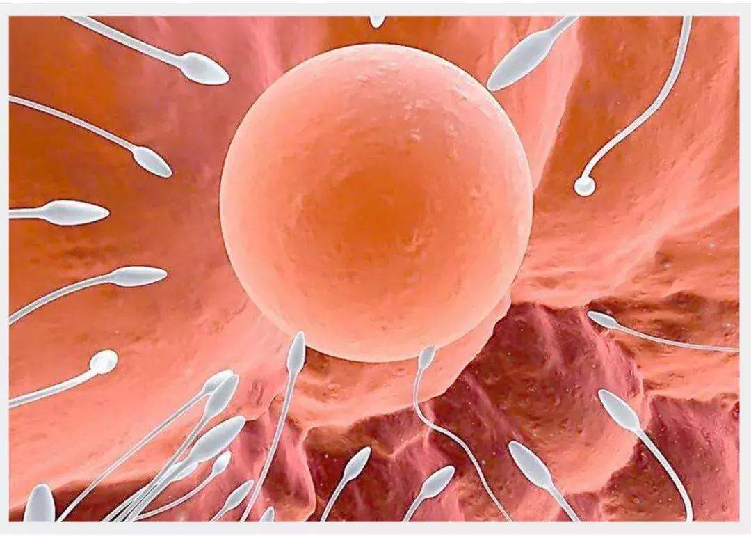 蹭蹭不会怀孕?关于这些性知识你真的了解吗?