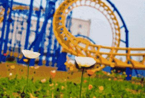 五一不能错过的花海,五一不能错过的美丽花海