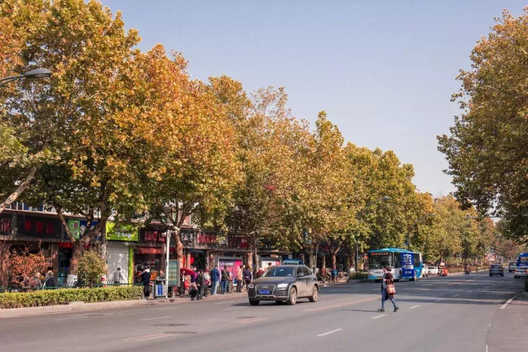 南京板仓街网红面条,南京板仓街早餐店