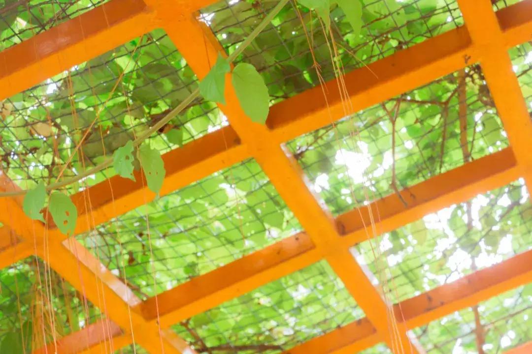 深圳游乐园排名前十名,深圳室内游乐园