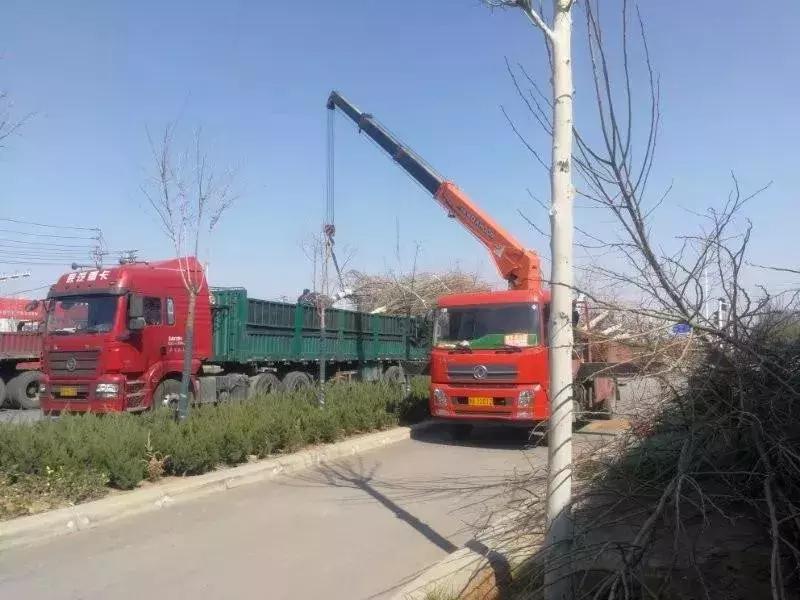 这家笨拙的开发商，名字里包含了所有中国人的希望