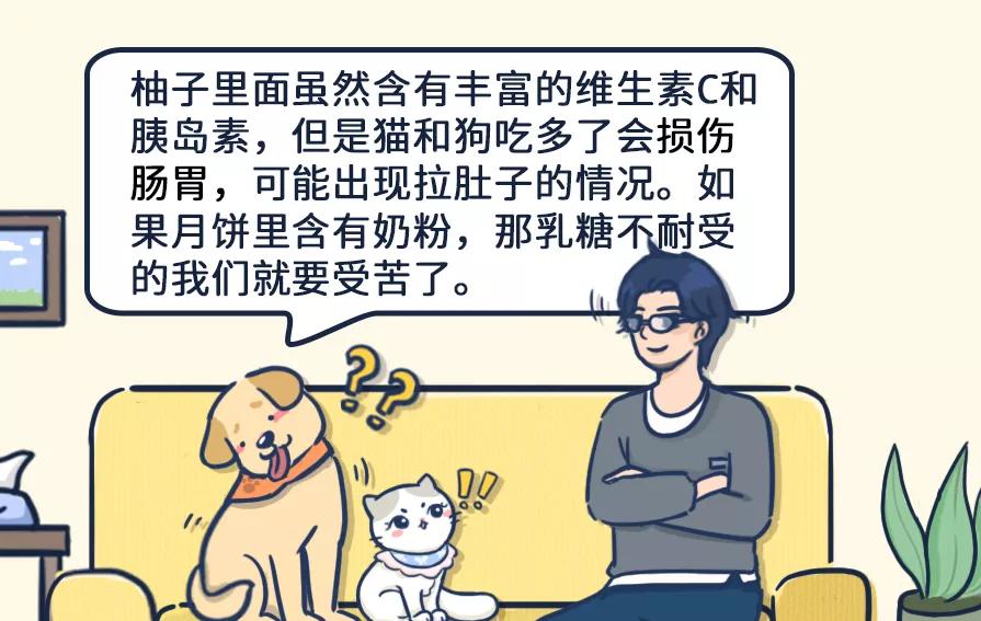 狗吃了柚子会怎样,狗吃柚子吐了