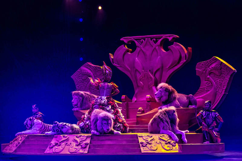 广州长隆野生动物世界旅游攻略,长隆野生动物世界攻略2-3天广州游