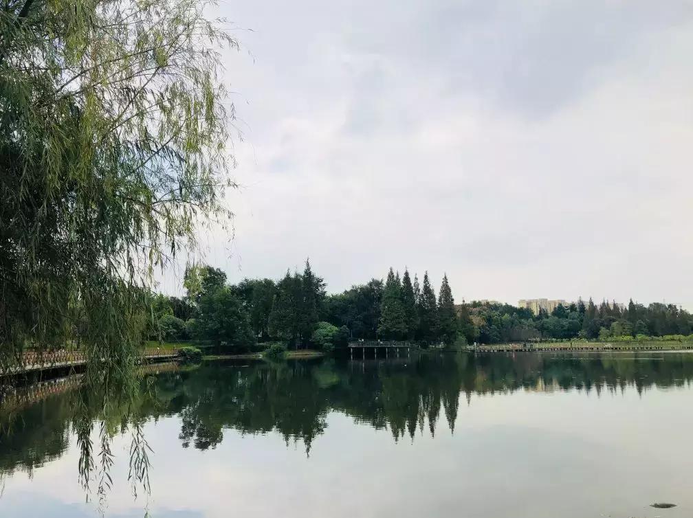 成都值得去的免费景点,成都景点小众游乐场