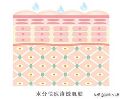 温和的保湿修复成分泛醇,泛醇高保湿舒缓安瓶精华液测评