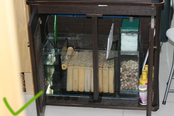 鱼缸过滤培菌效果最好的方式,鱼缸过滤培菌屋起什么作用