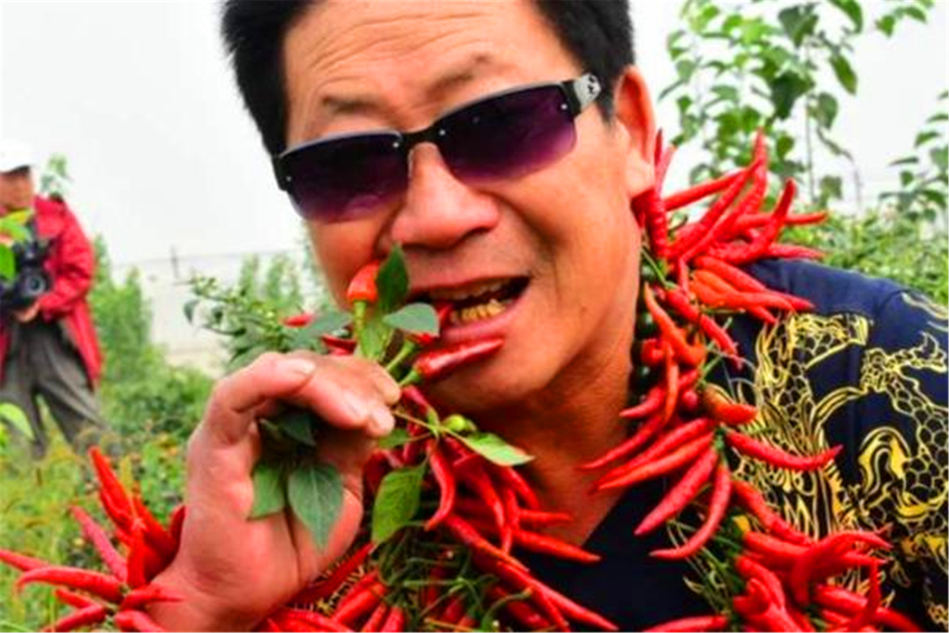 中国辣王李永志吉尼斯世界纪录,中国辣椒王李永志挑战世界辣椒