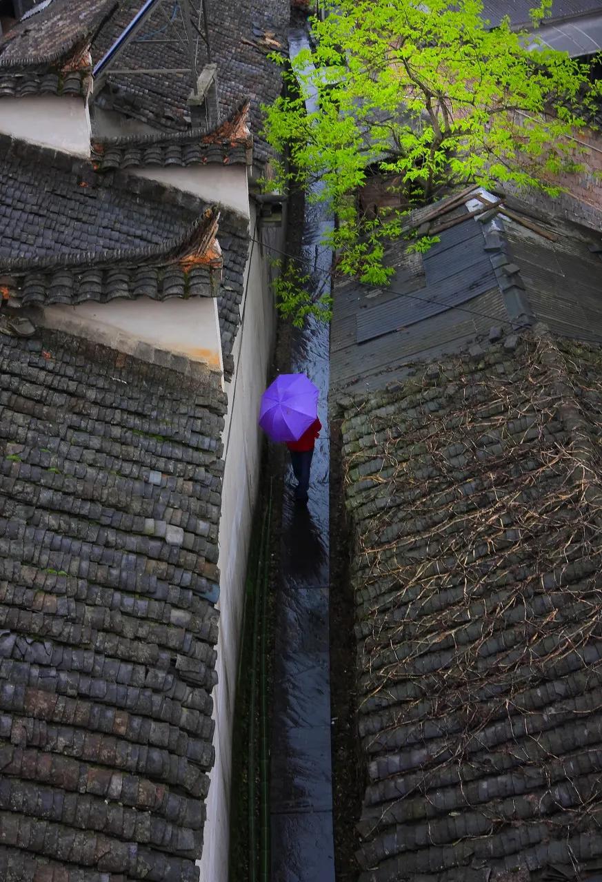 安徽春天美丽的视频,安徽美丽的春天