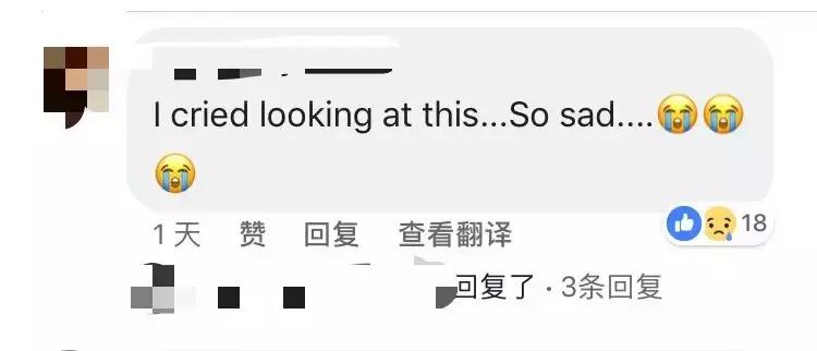 黑猫死后会发生哪些事,黑猫死亡真实事件