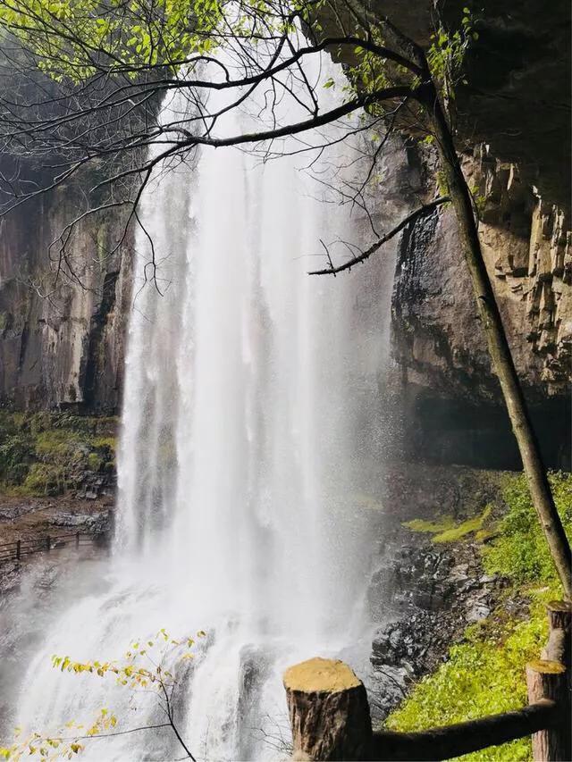 温州夏天有哪些好玩的,夏天去温州穿什么裙子