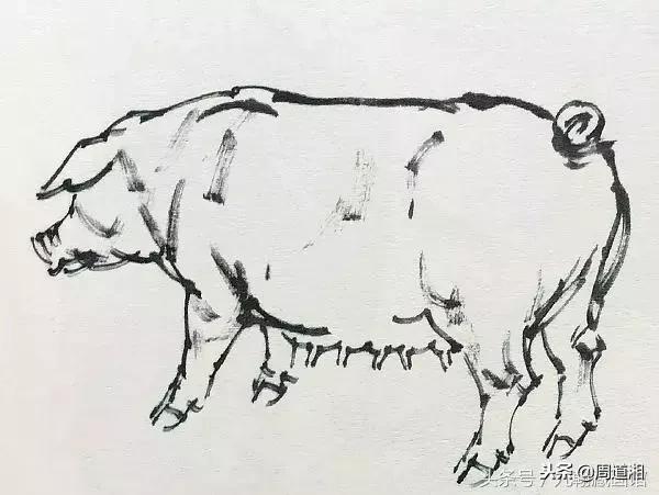 国画工笔猪图片,大写意画猪国画作品