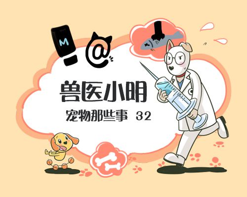 怎么判断母狗有没有做绝育,母狗如何判断有没有做绝育