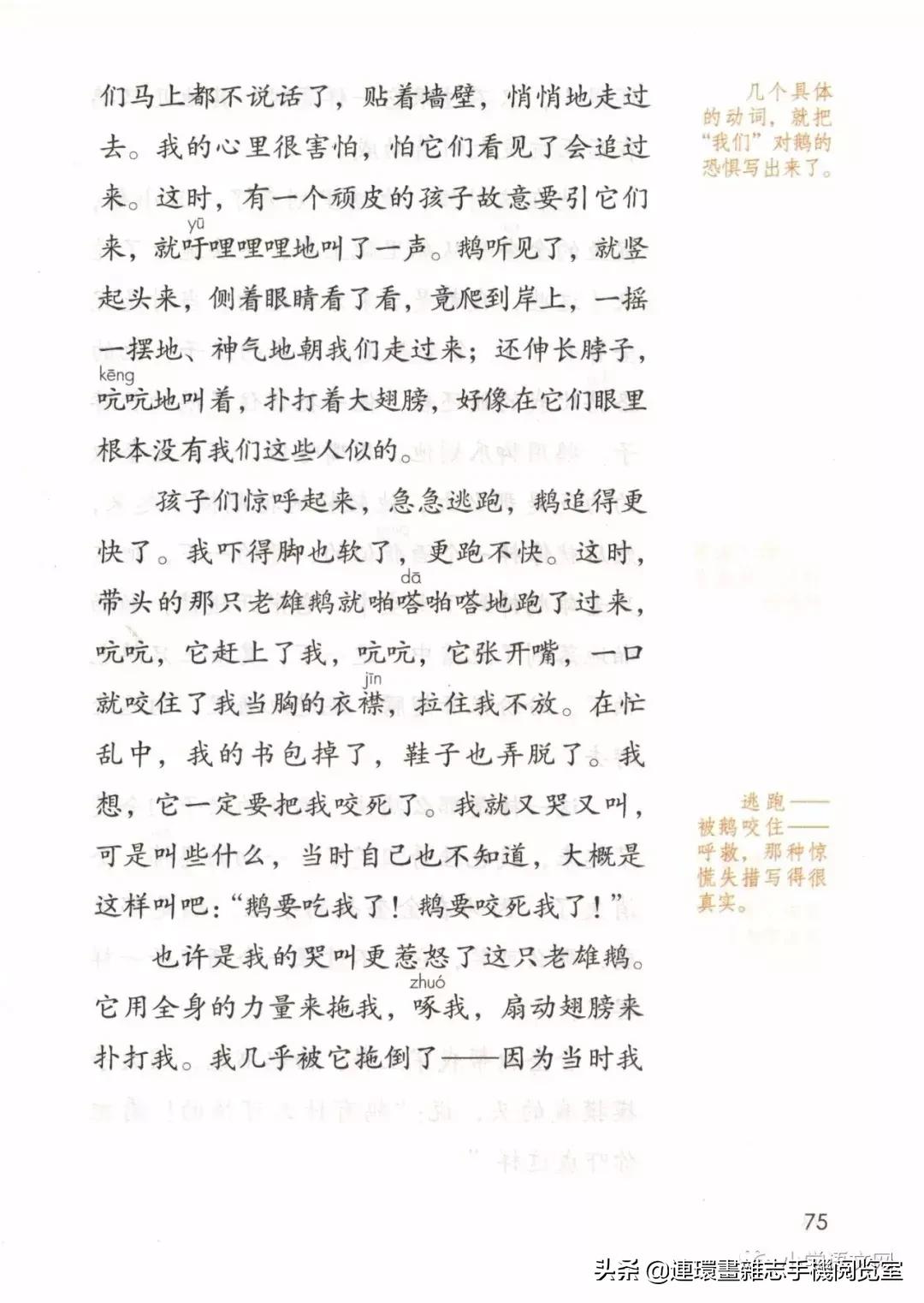 广西小学四年级上册语文课本,四年级的语文上册课本全部