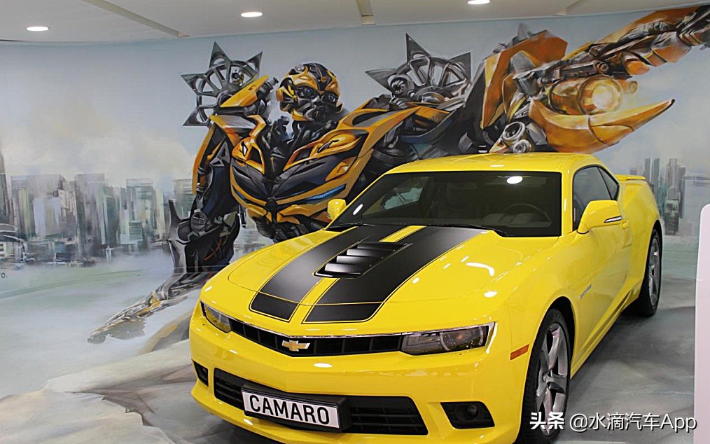 甲壳虫大黄蜂车型是什么,大黄蜂有甲壳虫车型吗