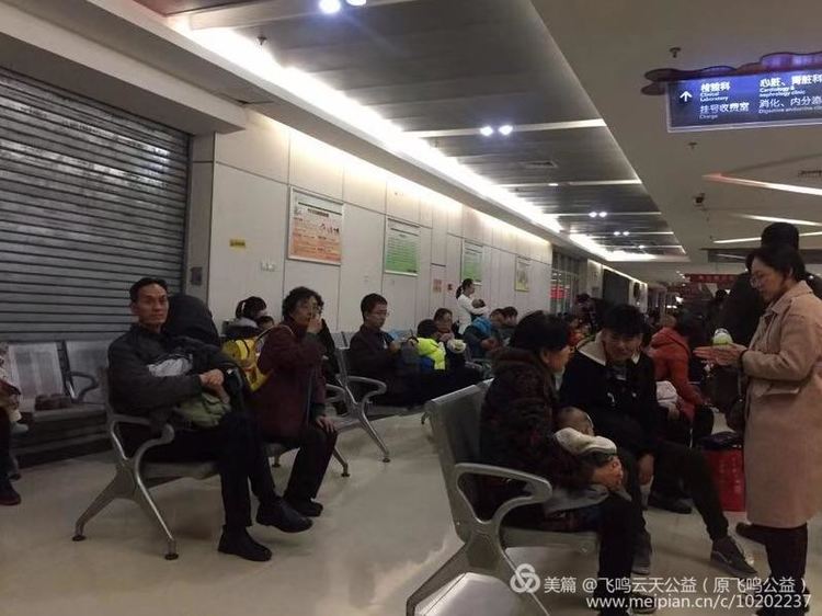 鍏堝ぉ鎬у績鑴忕梾鍏泭鏁戝姪琛屽姩,娴峰崡鍏堝ぉ鎬у績鑴忕梾鏁戝姪鍏泭娲诲姩