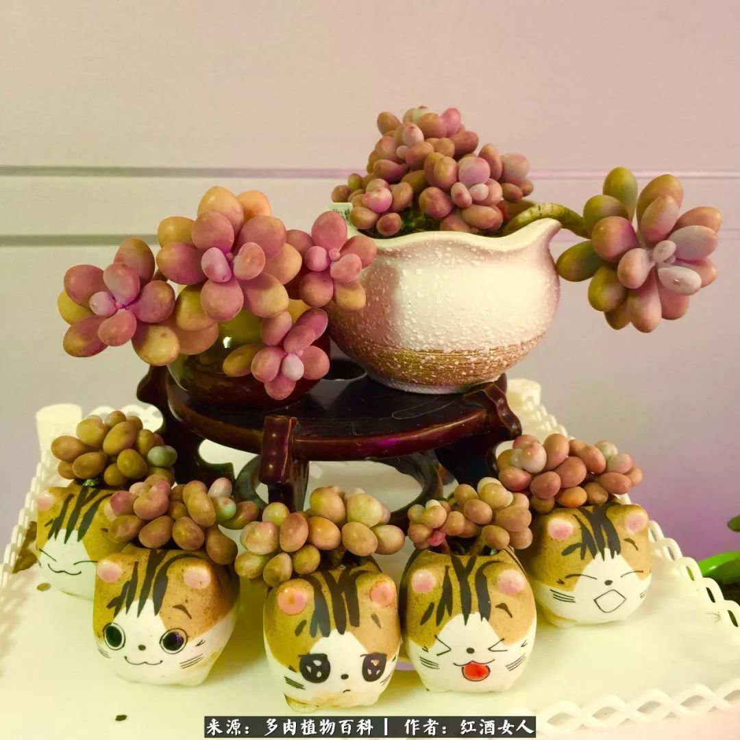 记录走过的美景留下美好的回忆,记录走过的每一段美好时光