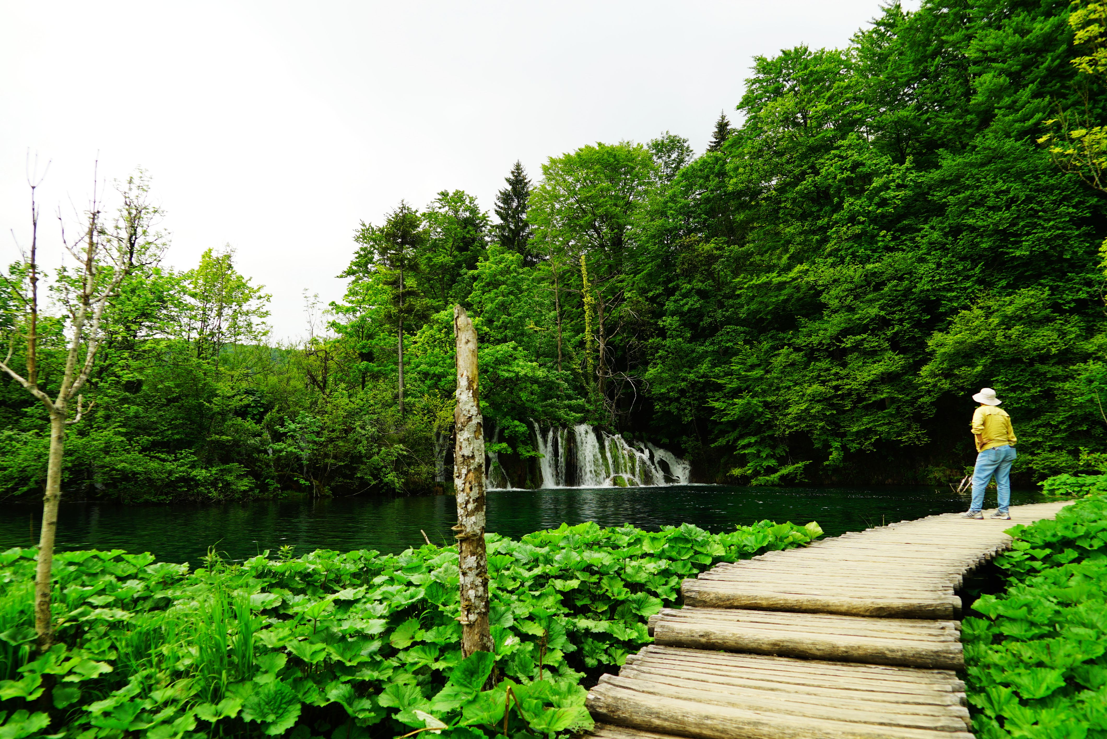 克罗地亚十六湖国家公园,克罗地亚十六湖仙境