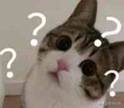 日语夸人常用语,用日语如何夸人可爱