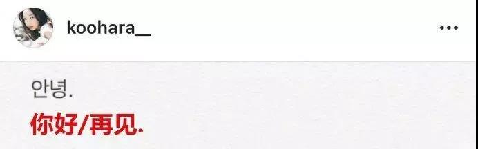 韩星荷拉：我们生而为人，愿都能被温柔以待