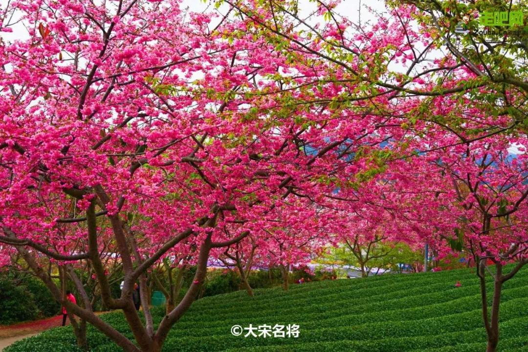 春节你的爱车可以停到这些地方,要过年了你的爱车保养了吗