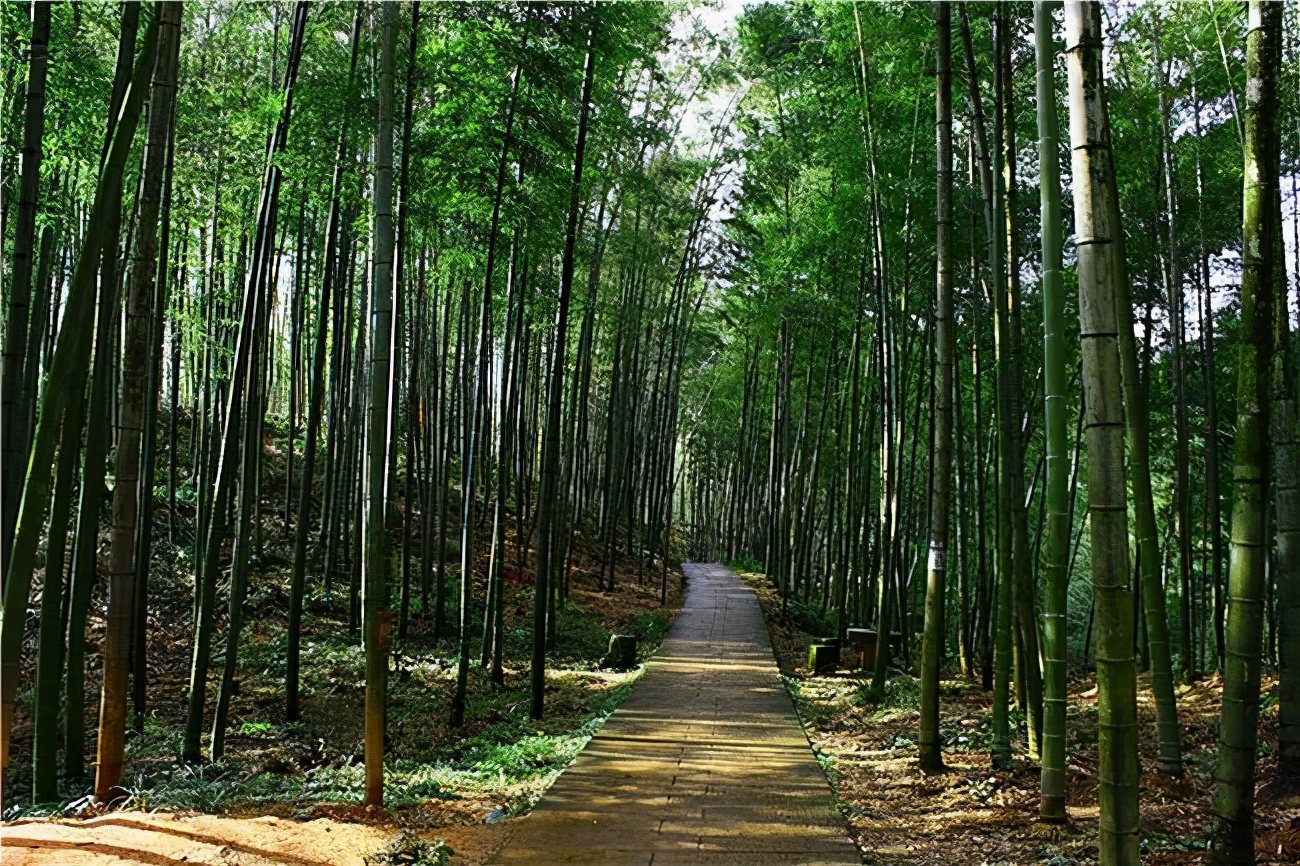 贵州遵义的a级景区有哪些,贵州遵义5a级旅游景点