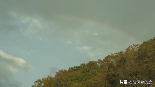 月薪三千的姑娘被骂,月薪三千的女孩靠什么生活好