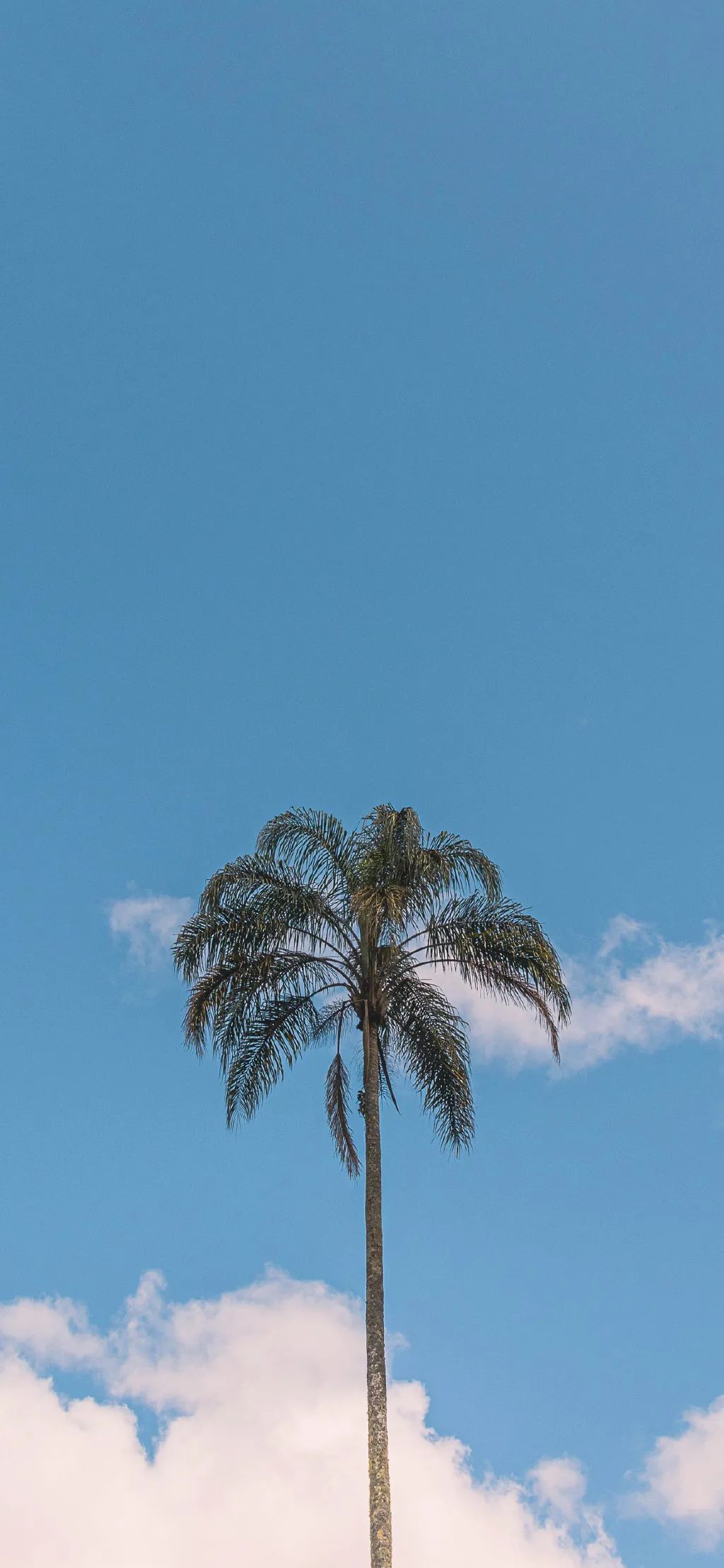 微信可爱聊天背景图壁纸,有趣的聊天背景图片壁纸