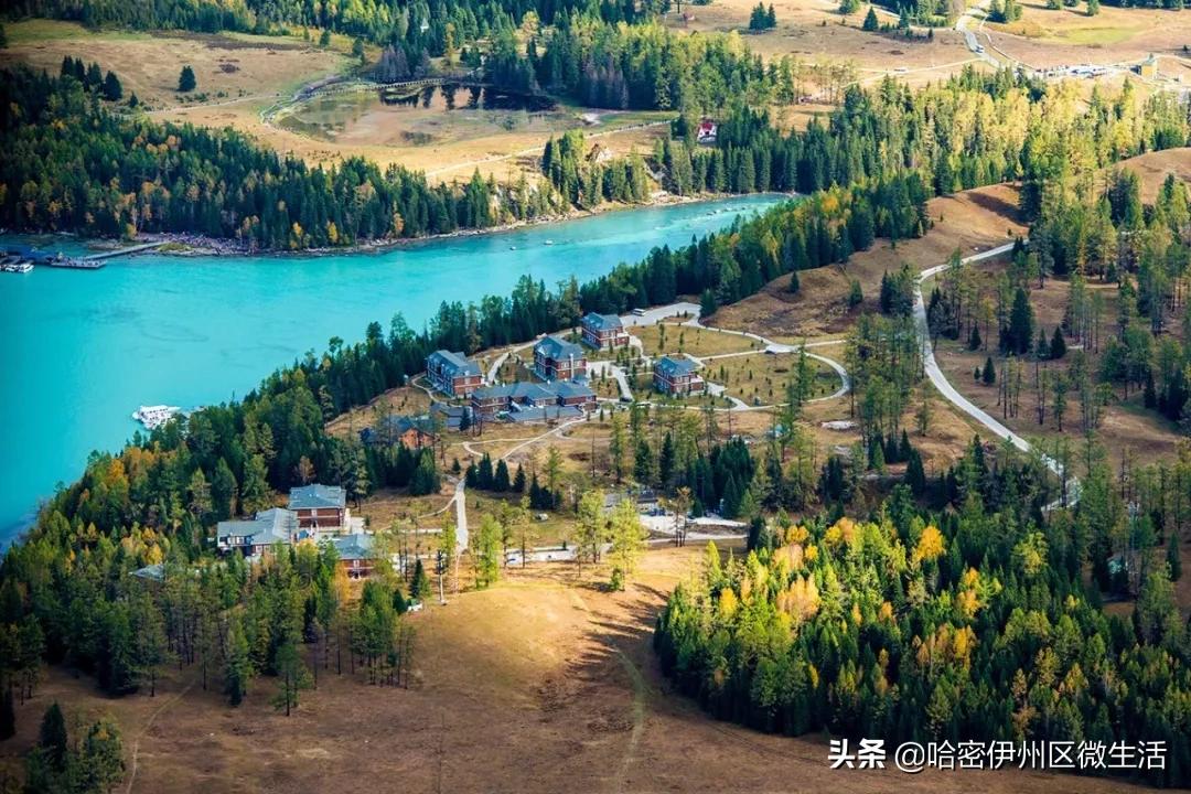 来听听*疆新**人怎么介绍*疆新**吧