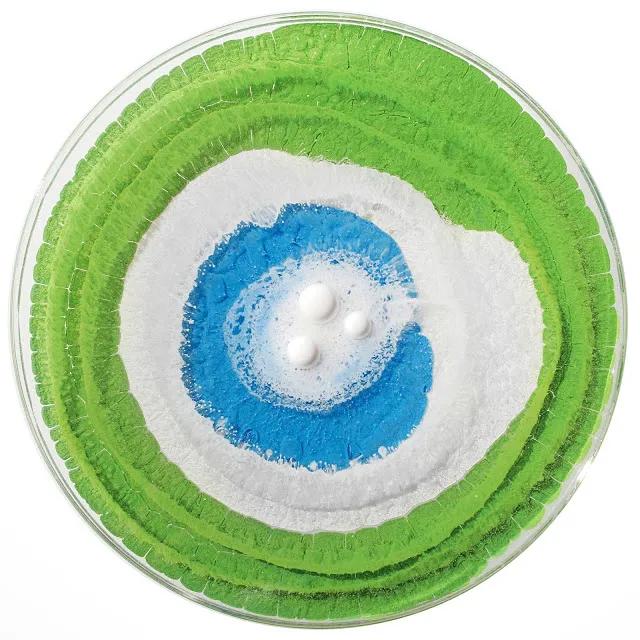 鑲犻亾閲岀殑鎺㈢储,鑲犻亾鍐呯殑涓栫晫