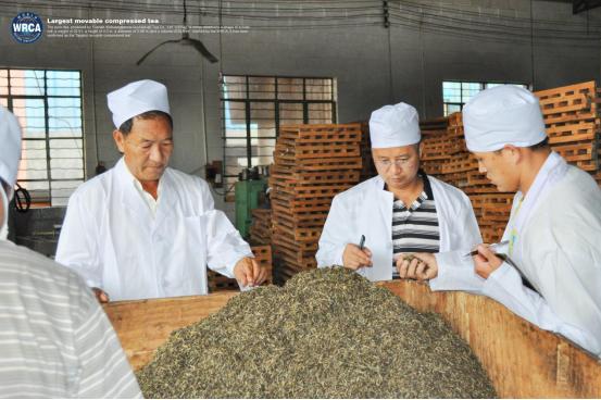 WRCA×龙园号：“世界最大的可移动茶柱”通过世界纪录认证