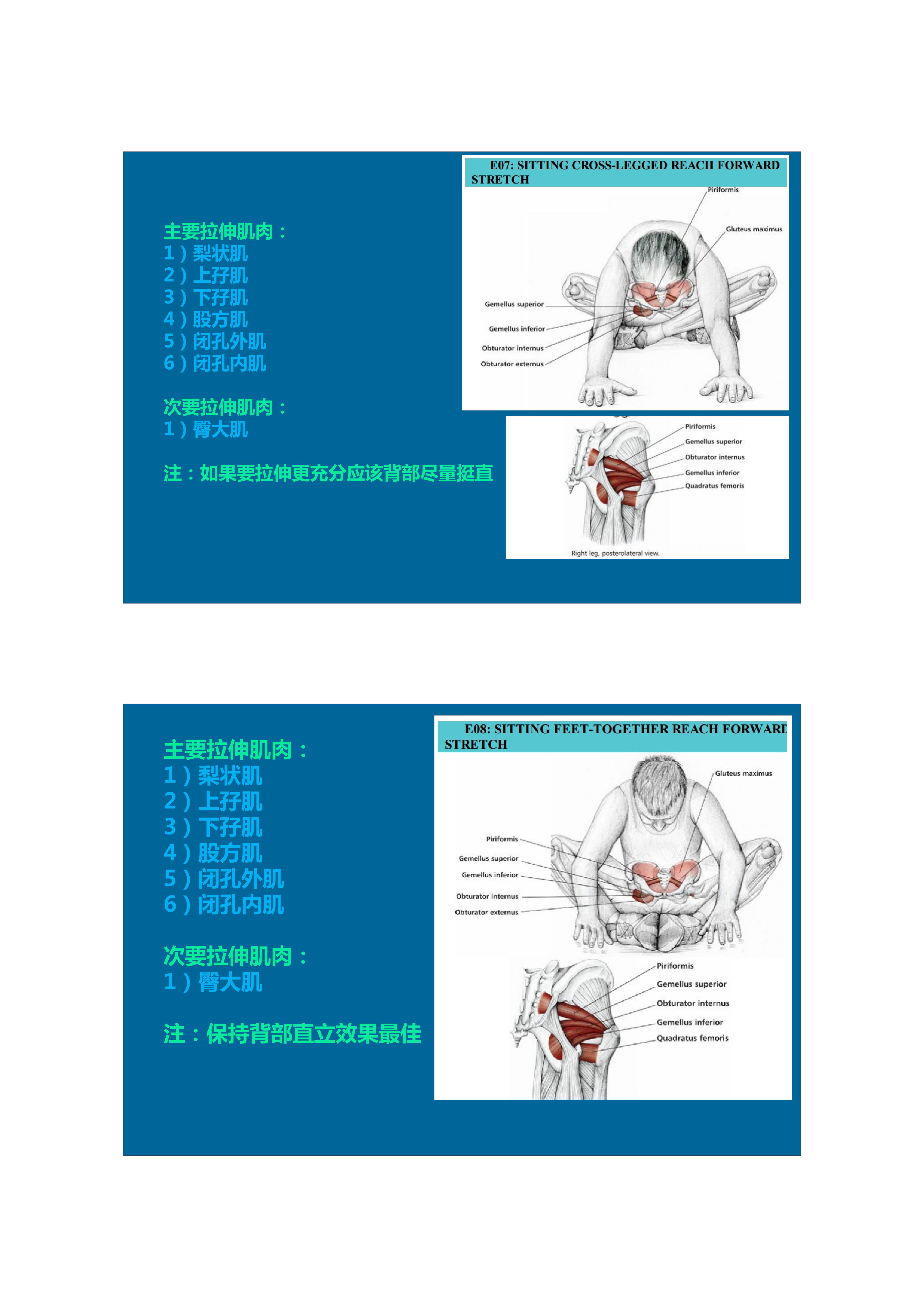 1分钟拉伸动作视频,拉伸腿部技巧