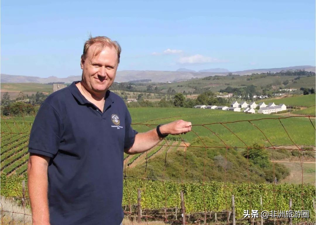 南非有什么葡萄酒好喝又便宜,南非葡萄酒品种