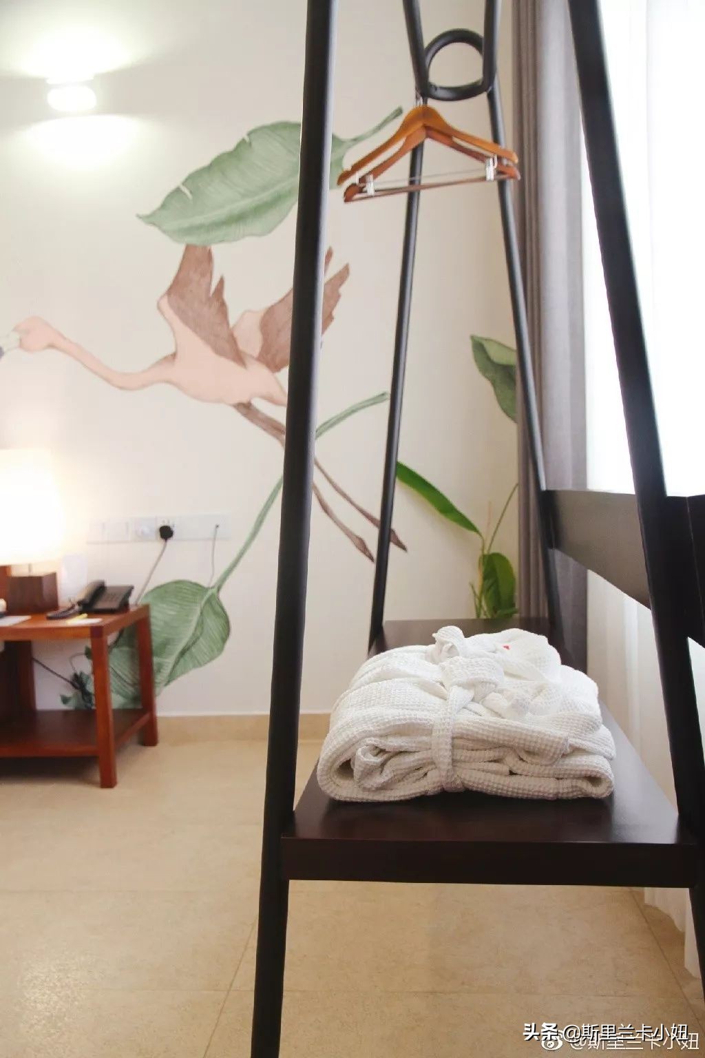 科伦坡淡山茱萸粉ins风酒店：清新艺术气质流行色不仅穿身上