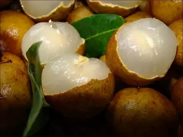 「节气变换」今日白露：露从今夜白，月是故乡明