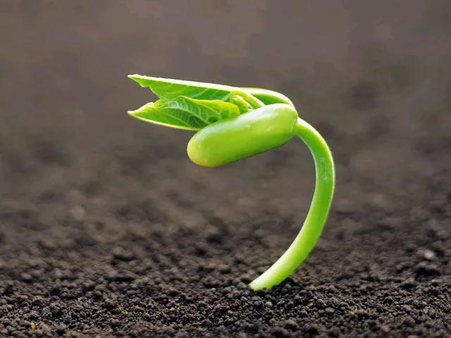 少年半身瘫痪案例,非常病人