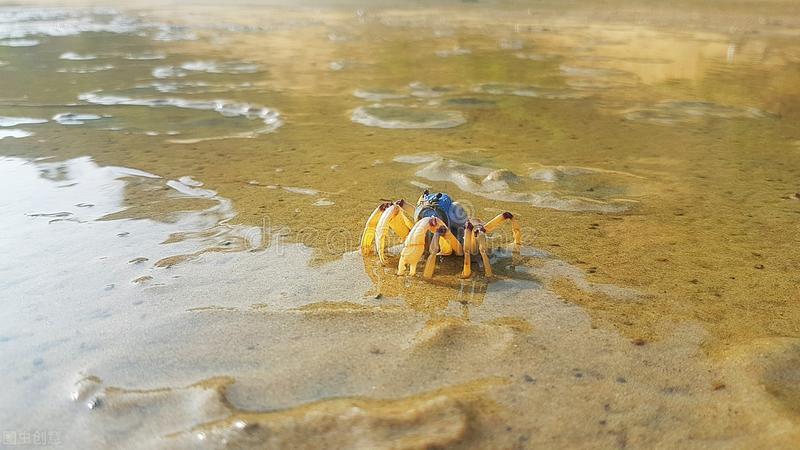 爱是生命最本源的光芒,爱是最高的智慧