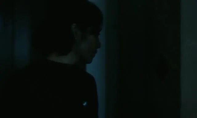 可惜没在中国上映的电影,李冰冰05年电影