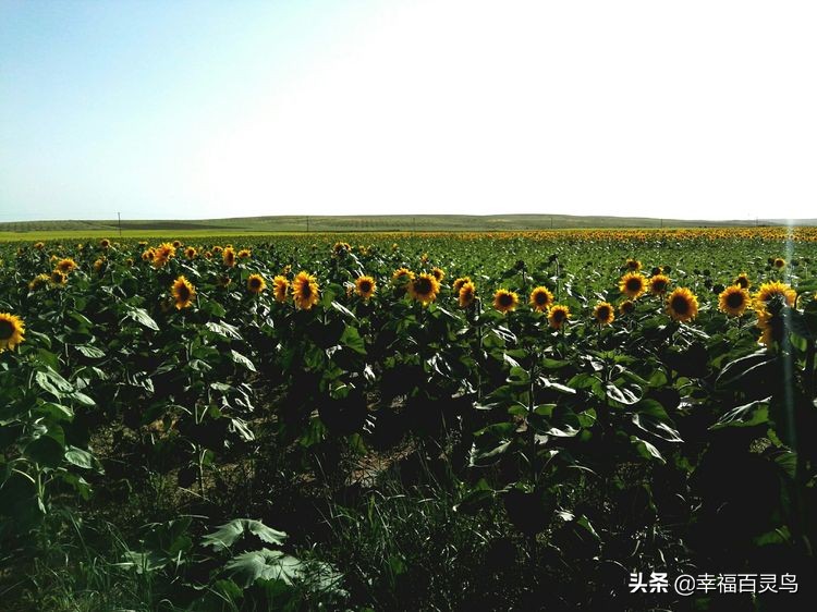 没有过不去的困难只是暂时的,心中有希望所以不再有哭泣