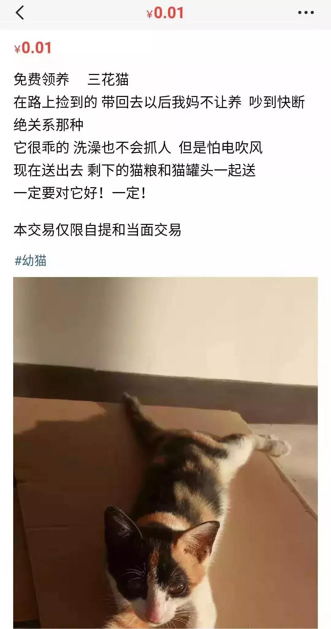闲鱼搜索无用内容,闲鱼搜索成长的秘密