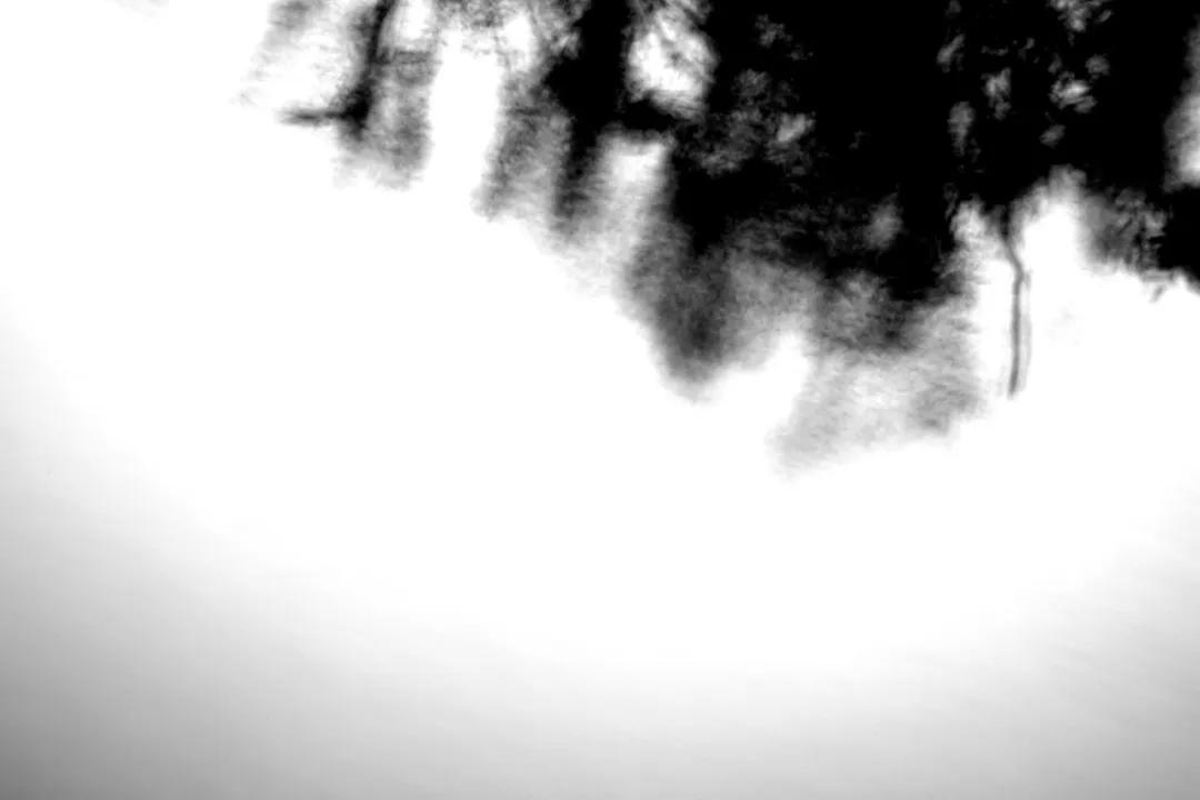 津门网金熙男:宁静的太子河