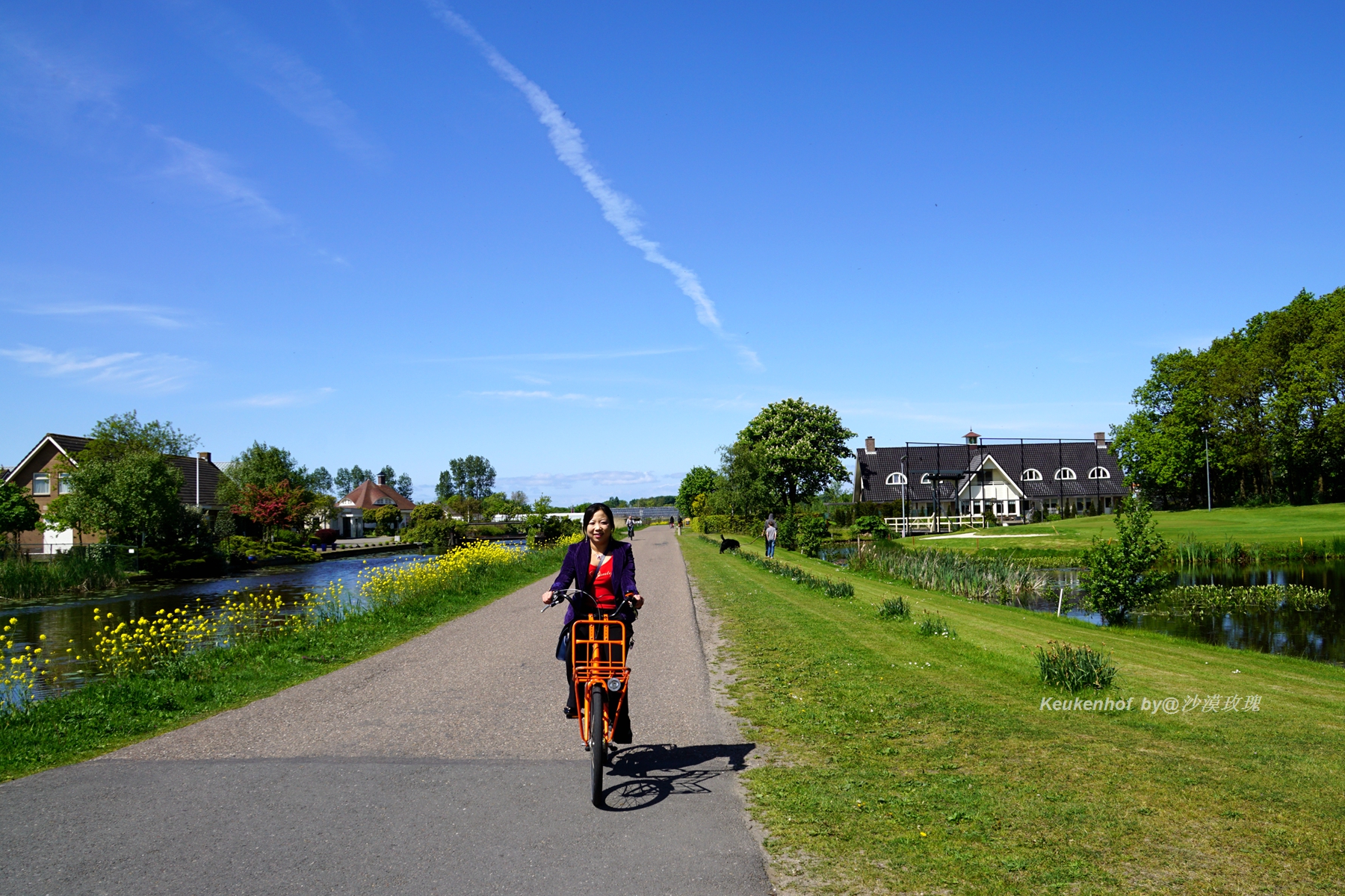 带你观赏荷兰郁金香,荷兰郁金香花海什么时候开