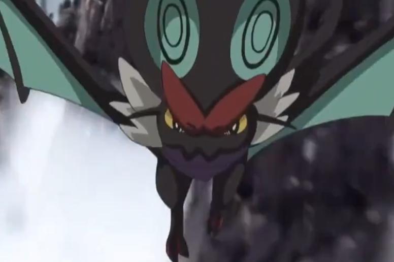 宝可梦里面的奇异事,宝可梦里面的搞笑事情