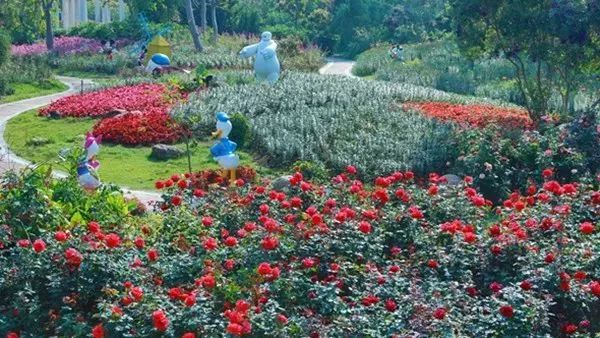 广州隐藏着一个碉楼村,广州有哪些隐藏的景点