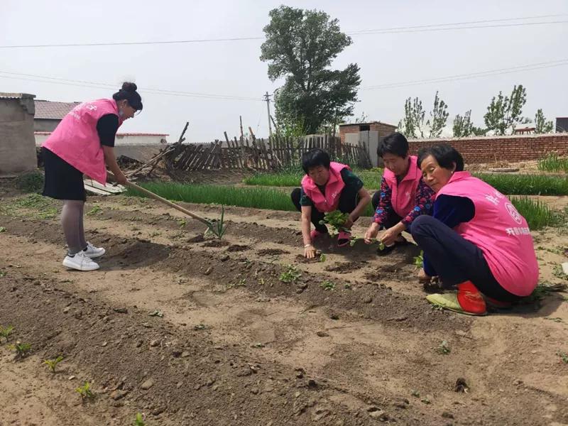 巾帼脱贫故事|小康路上的巾帼“牛状元”