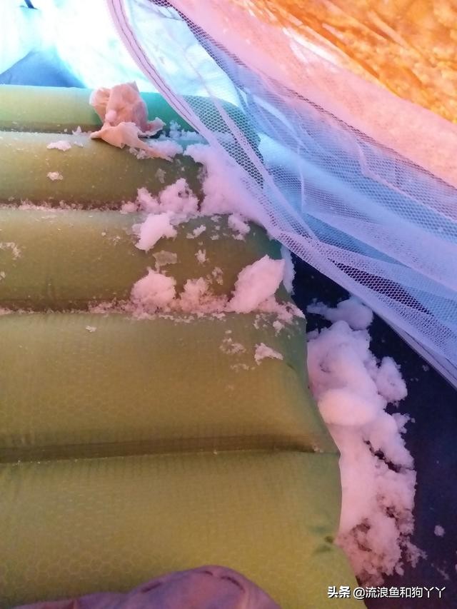 年保玉则现在开放了吗,年保玉则为啥被封